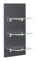 Wandregal VIVA anthrazit-seidenglanz mit Glasböden und LED-Beleuchtung